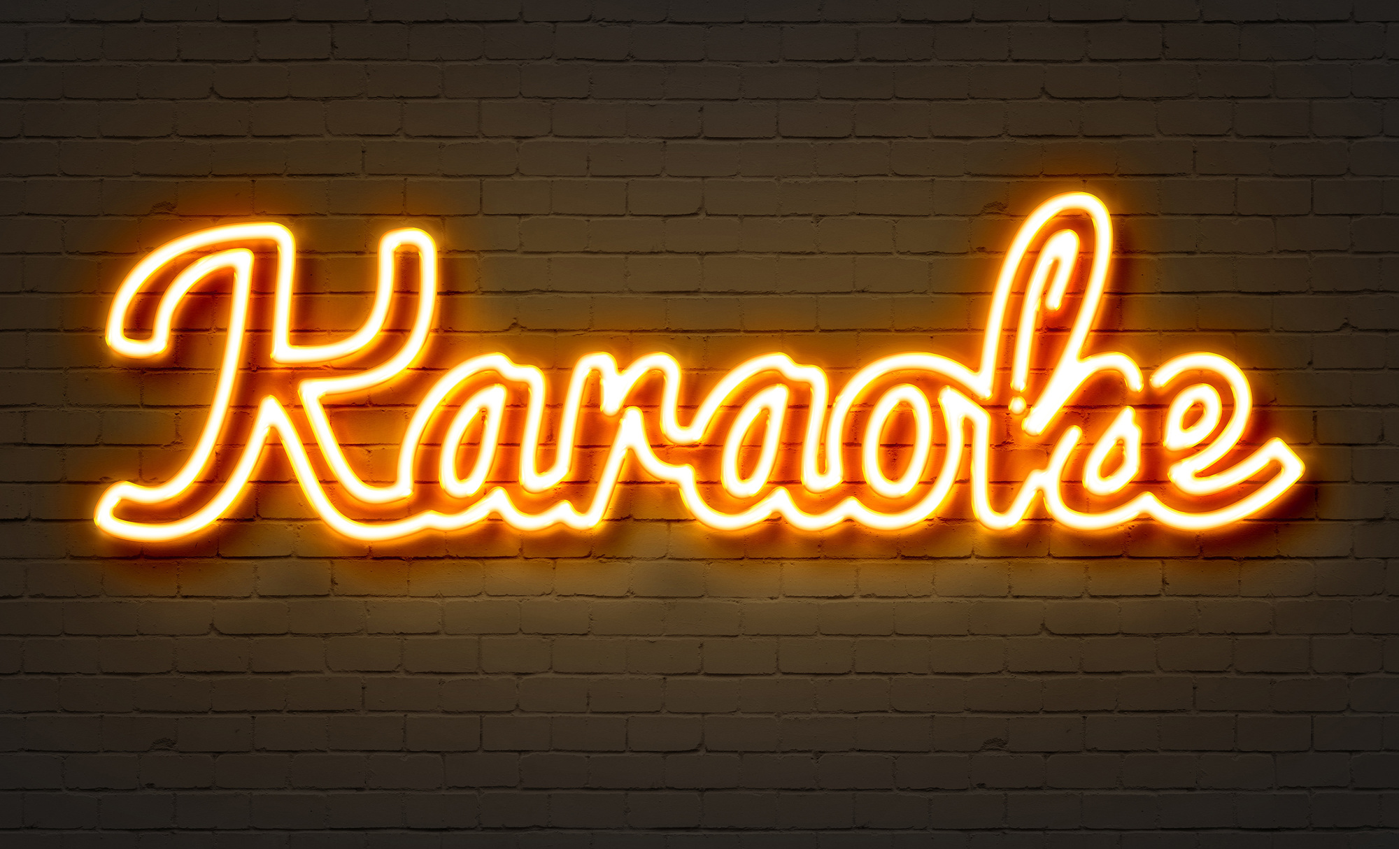 Karaoke (to jack-input) - JBL festhøjttaler
