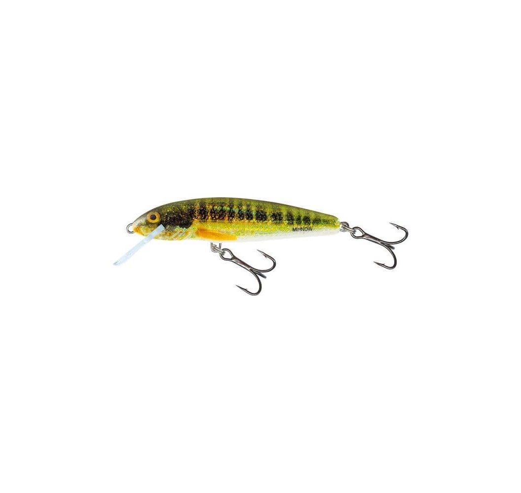Leurre de pêche Maxrap long range minnow