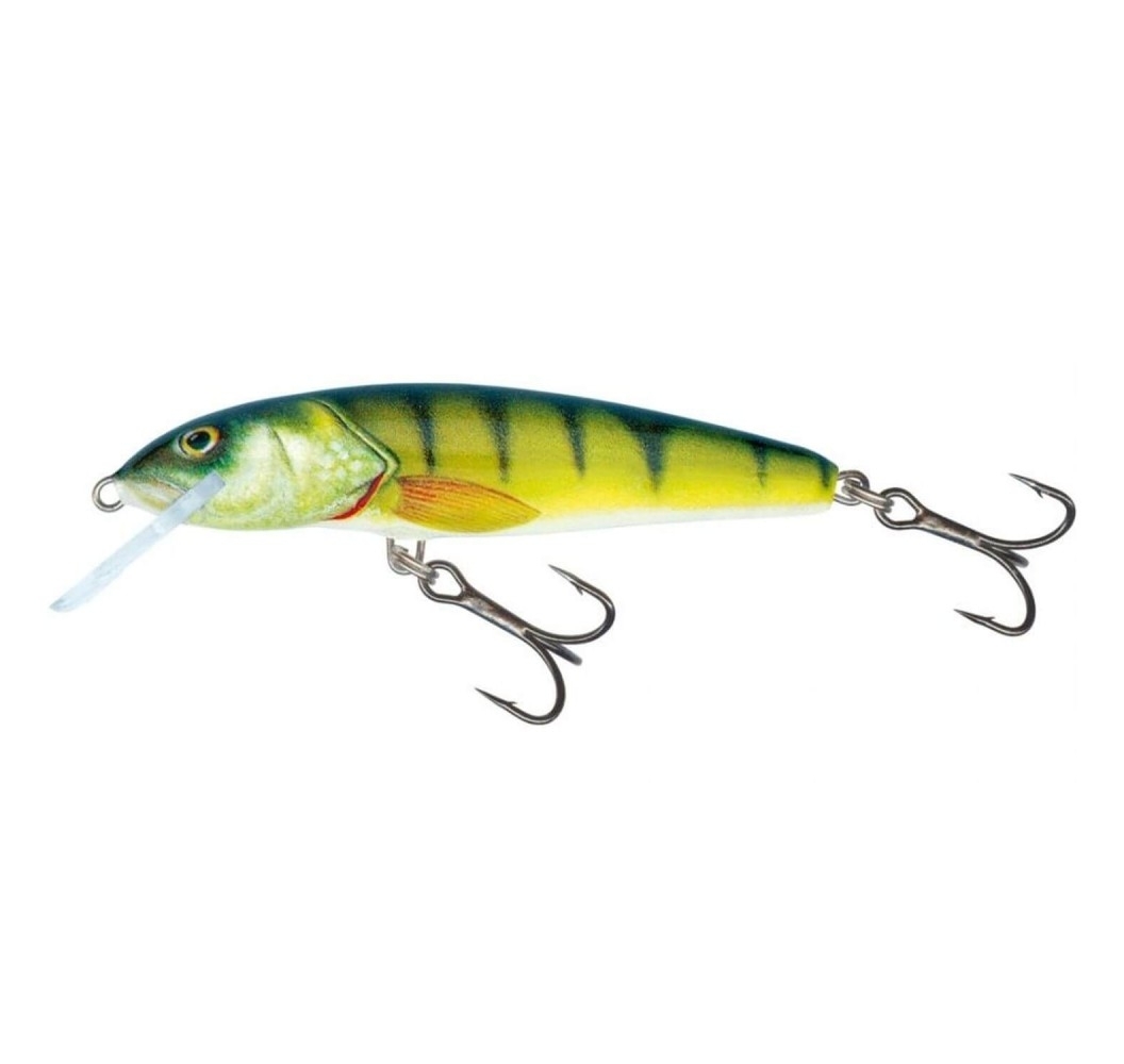 Leurre pêche mer riviere Minnow alevin 9cm 9,5g nage 0,5m à 1,5m