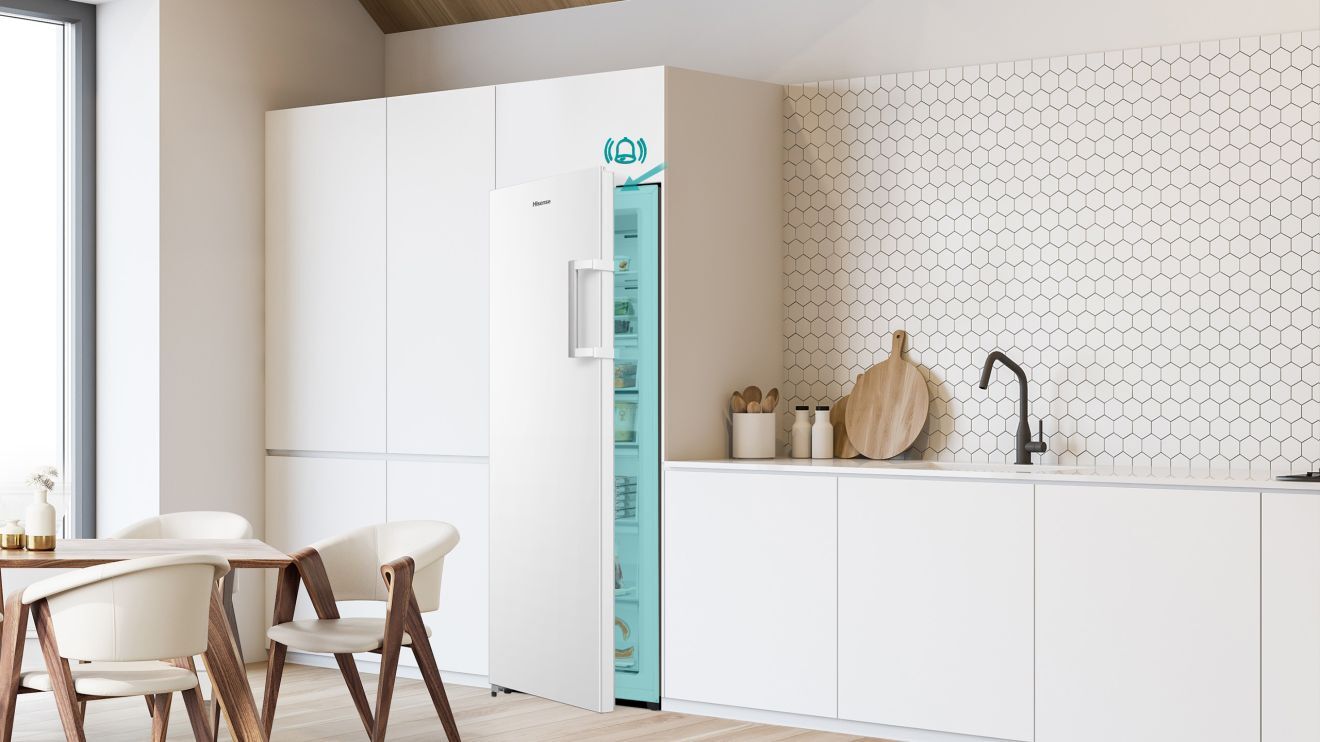 Door Alarm (upright freezer)