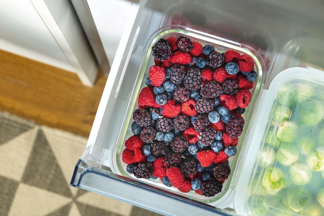 FastFreeze (GardenFresh FS 2020)
