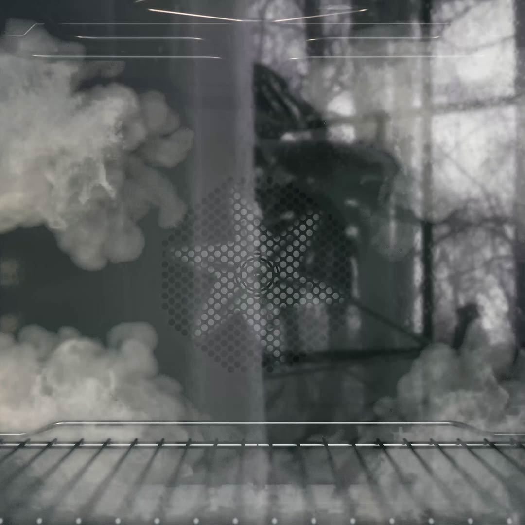 Pure steam system
