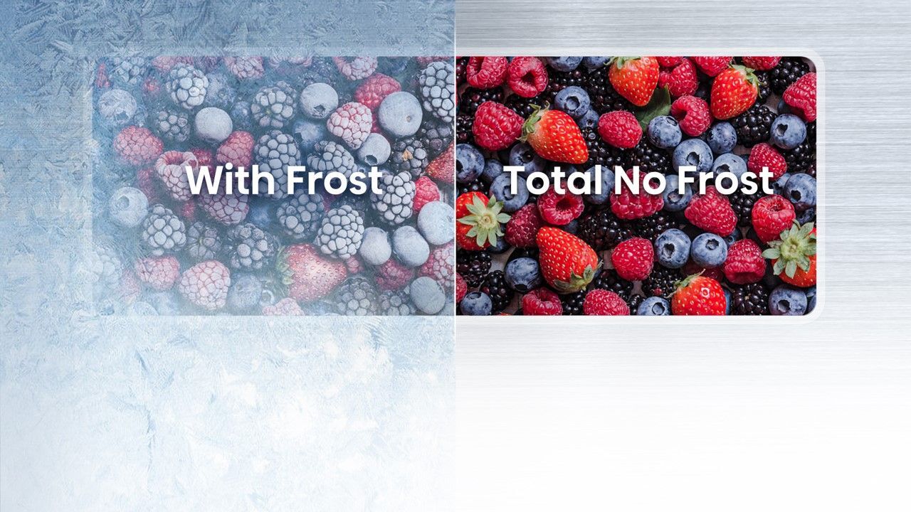 Total No Frost (BI HSN 2024)