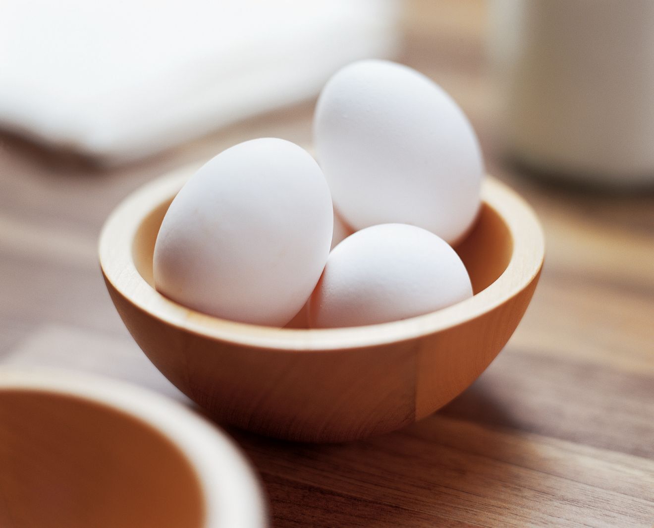 EggTray (FS Cooling buy 2025)